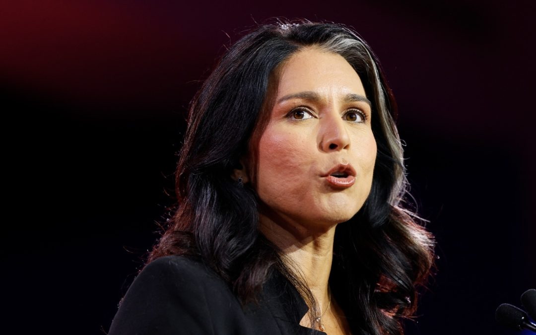 DEMOCRATIC Congresswoman Tulsi Gabbard Proves On CNN That Obama Funded ISIS!